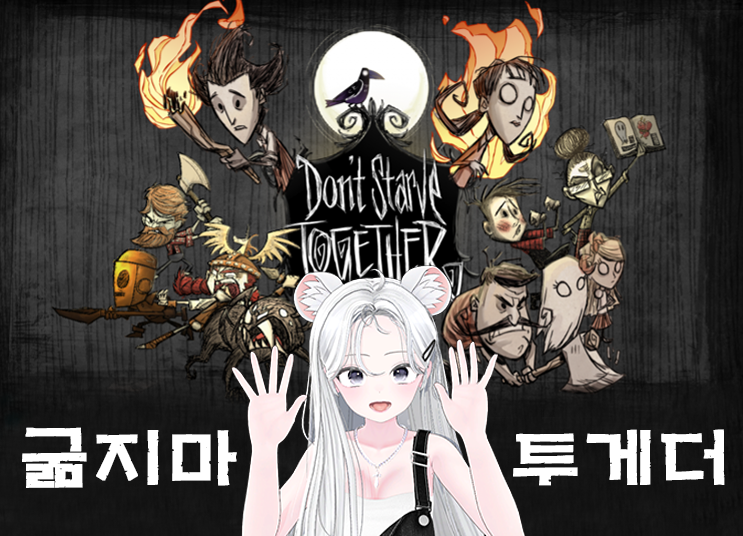 ✨돈스타브 투게더 함께 하실분 모집합니다!!!✨