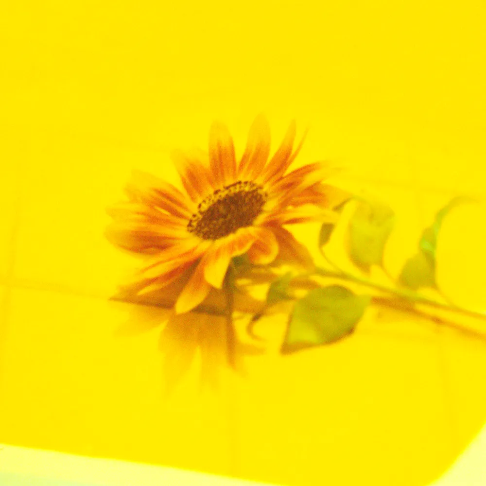 꽃점 — vaundy