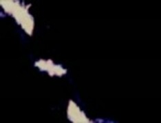 Face — 니키