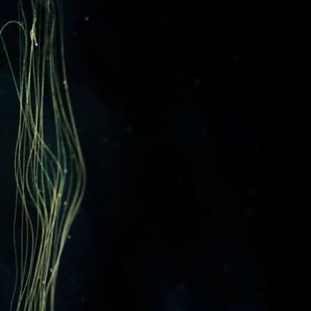 裏世界 — 니키