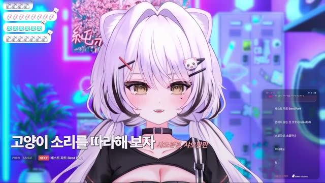 고양이 소리를 따라해 보자 - 샤오펑펑, 샤오판판