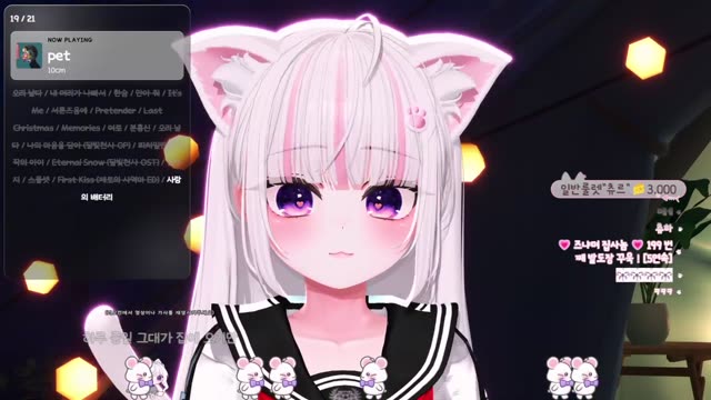 pet - 10CM