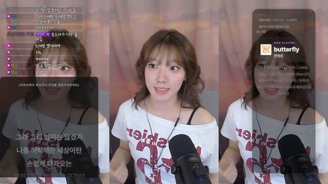 butterfly - 전영호
